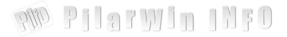 Logo Pilarwin info
